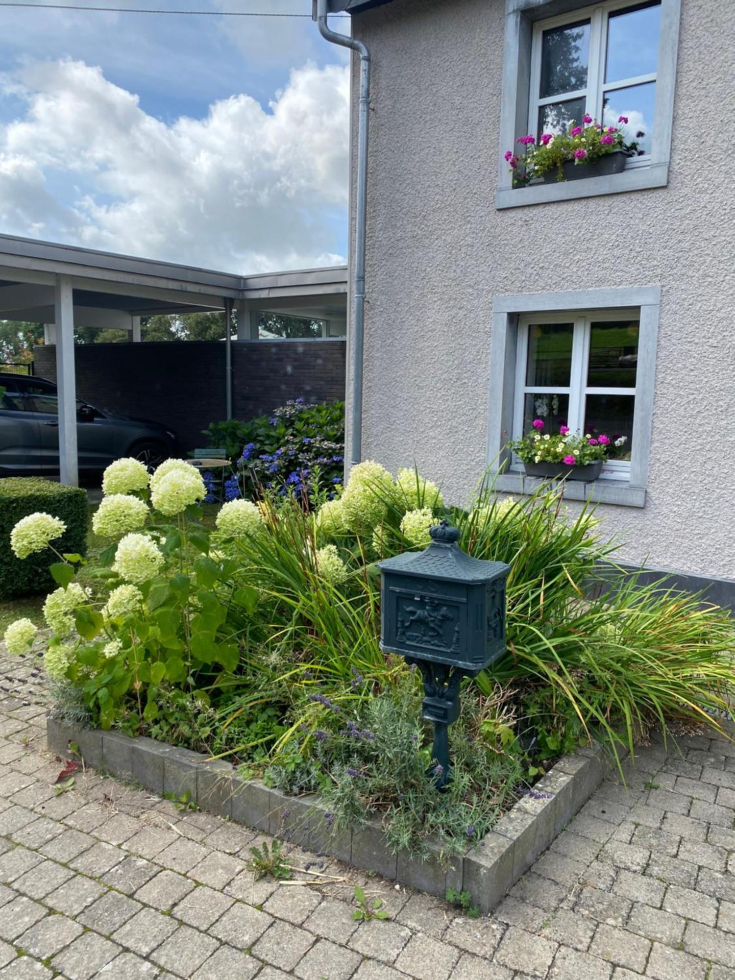 Hotel Les Sansonnets Vaux-sur-Sure Esterno foto
