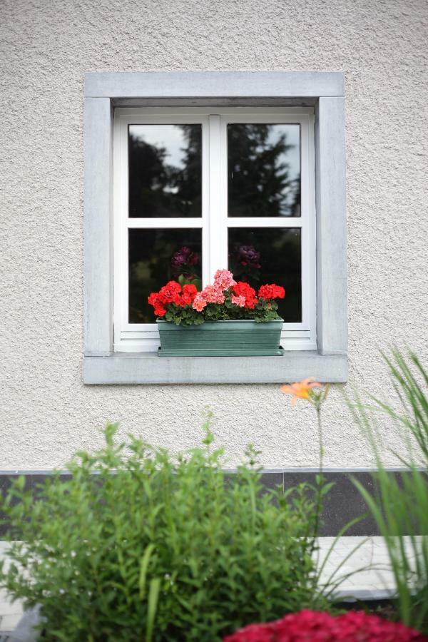 Hotel Les Sansonnets Vaux-sur-Sure Esterno foto
